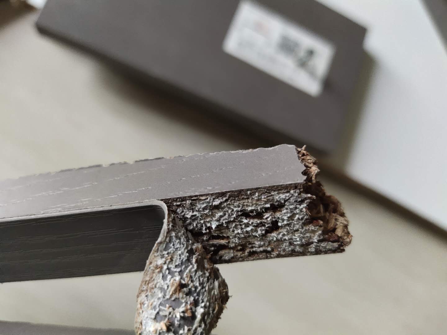 1679040953780588.jpg 1679040953780588.jpg